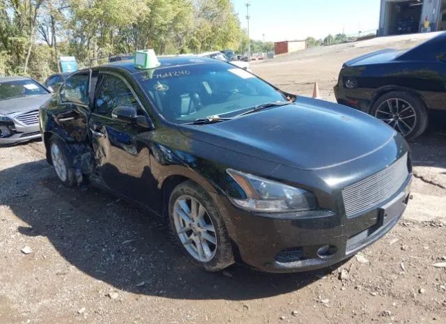 NISSAN MAXIMA 2010 1n4aa5ap4ac852593