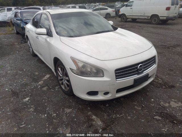 NISSAN MAXIMA 2010 1n4aa5ap4ac855025