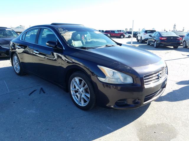 NISSAN MAXIMA 2010 1n4aa5ap4ac855669