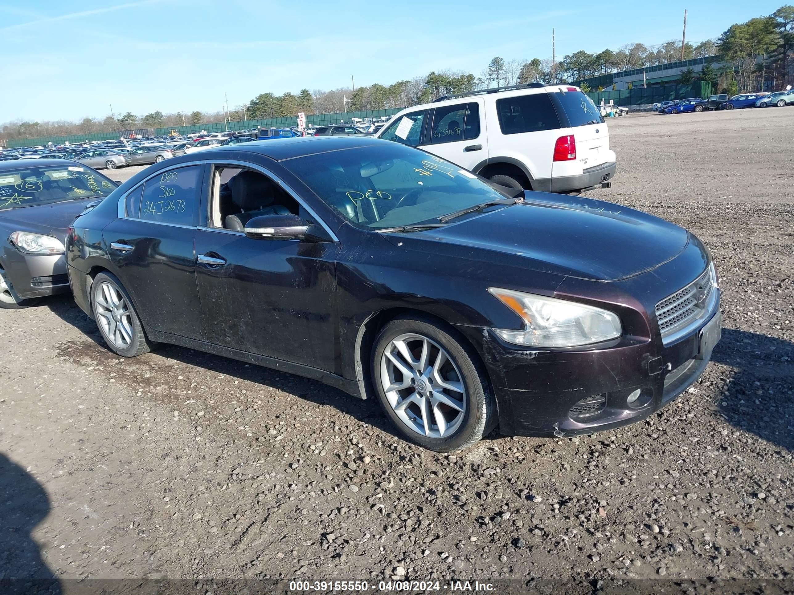 NISSAN MAXIMA 2010 1n4aa5ap4ac866252