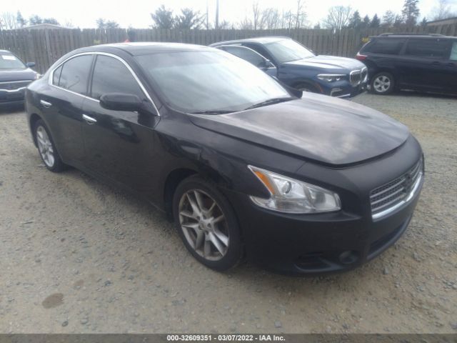 NISSAN MAXIMA 2010 1n4aa5ap4ac866929