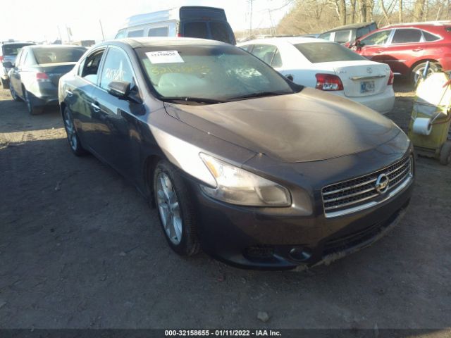 NISSAN MAXIMA 2010 1n4aa5ap4ac867031