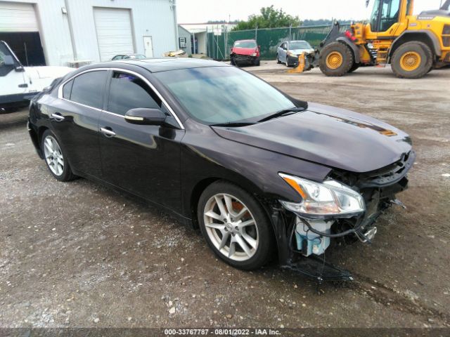 NISSAN MAXIMA 2010 1n4aa5ap4ac871709