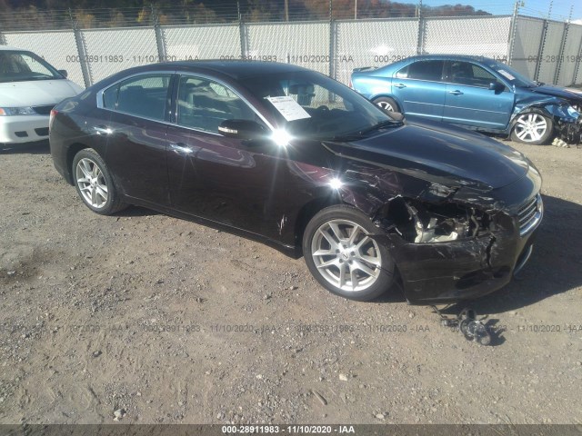 NISSAN MAXIMA 2010 1n4aa5ap4ac873301