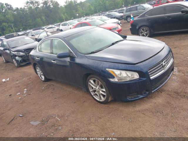 NISSAN MAXIMA 2011 1n4aa5ap4bc805419