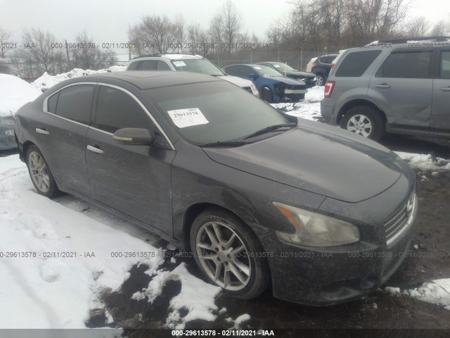 NISSAN MAXIMA 2011 1n4aa5ap4bc809244