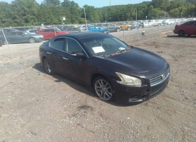 NISSAN MAXIMA 2011 1n4aa5ap4bc810037