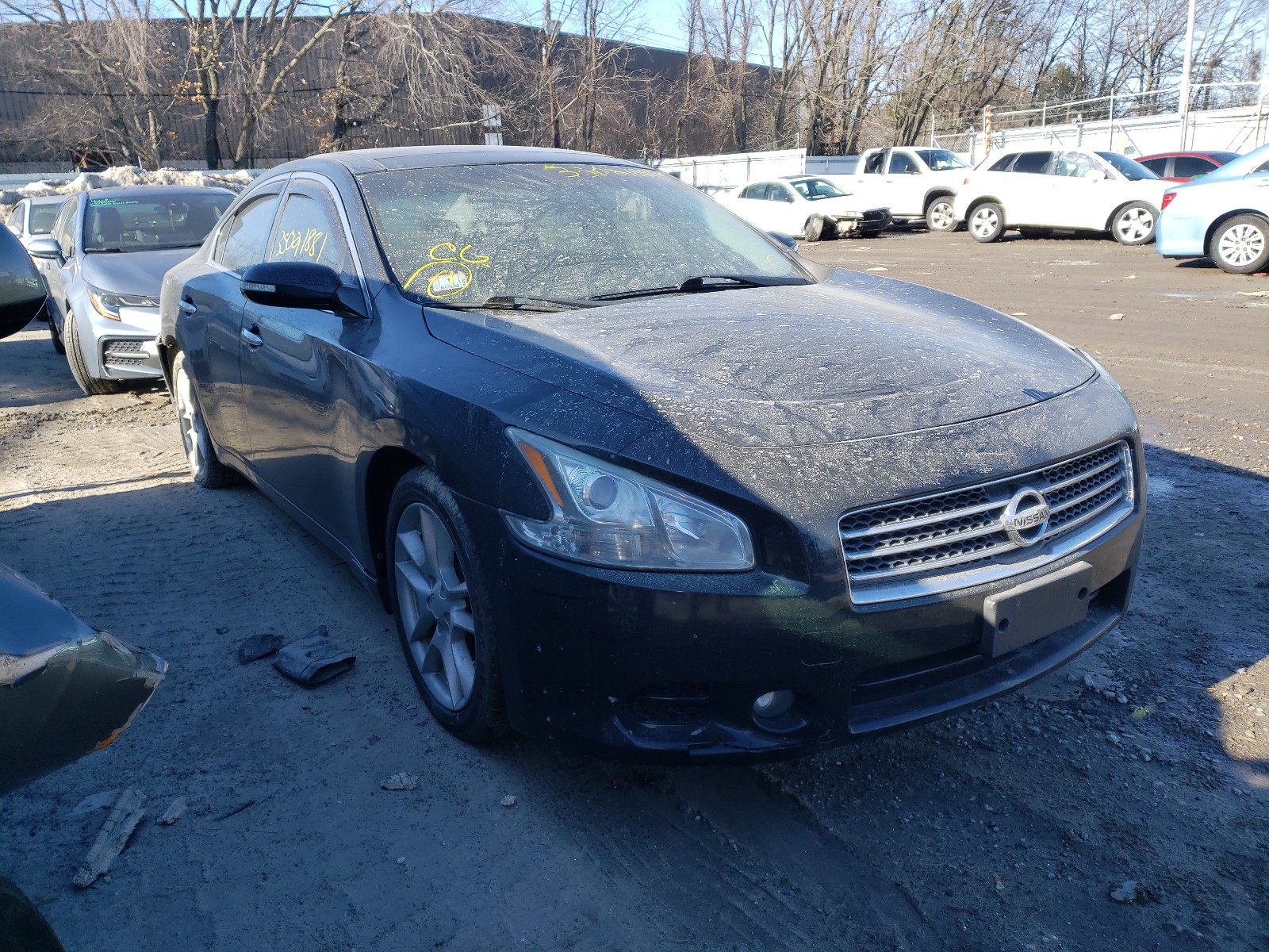 NISSAN MAXIMA S 2011 1n4aa5ap4bc815951