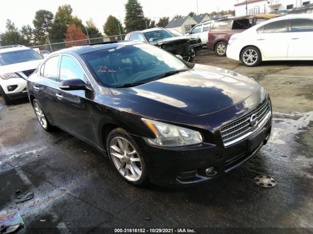 NISSAN MAXIMA 2011 1n4aa5ap4bc817778