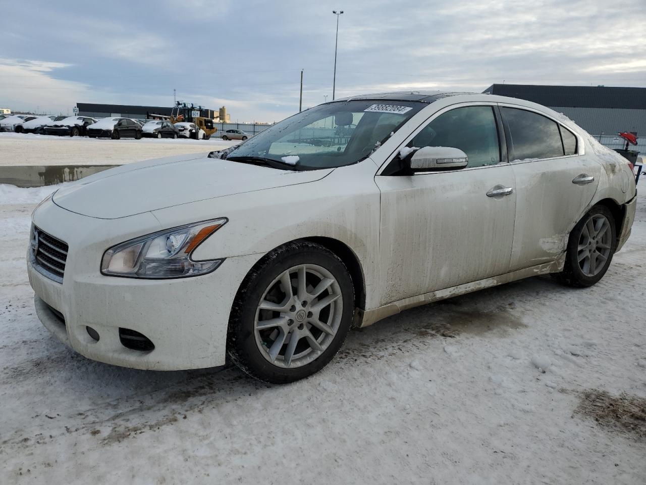 NISSAN MAXIMA 2011 1n4aa5ap4bc824309