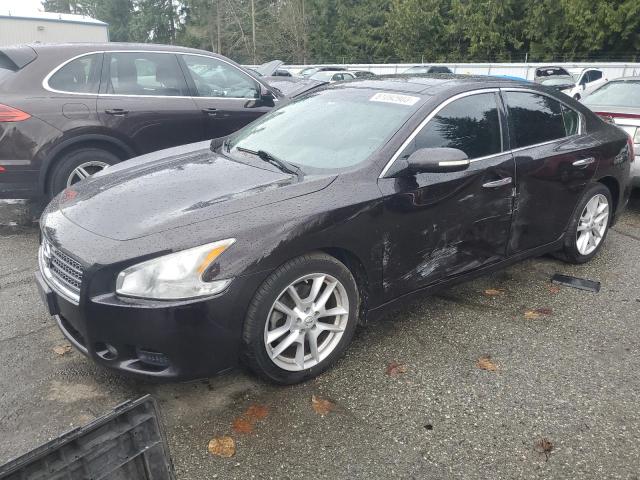 NISSAN MAXIMA 2011 1n4aa5ap4bc833124