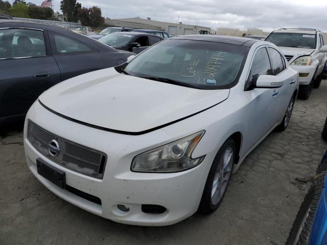 NISSAN MAXIMA 2011 1n4aa5ap4bc845838