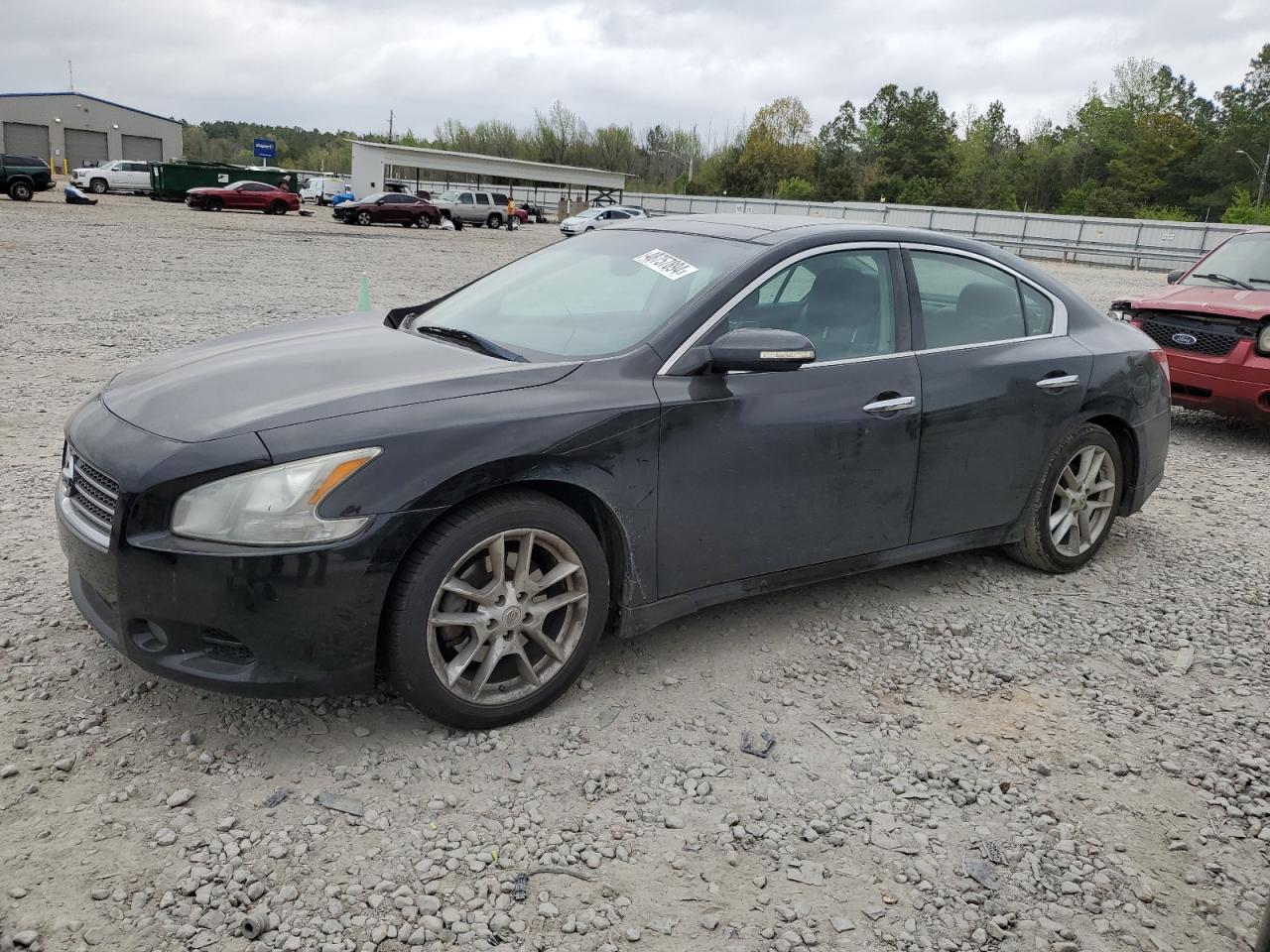 NISSAN MAXIMA 2011 1n4aa5ap4bc846889