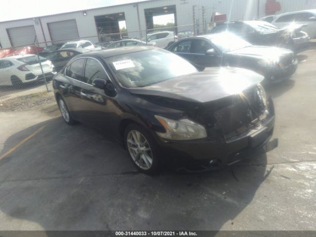 NISSAN MAXIMA 2011 1n4aa5ap4bc847962