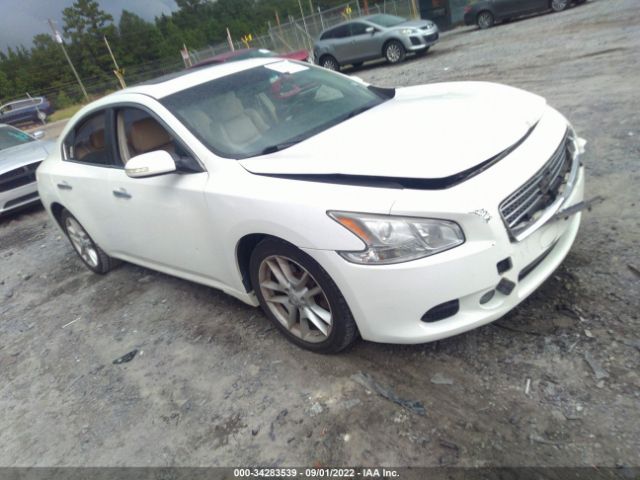 NISSAN MAXIMA 2011 1n4aa5ap4bc849128