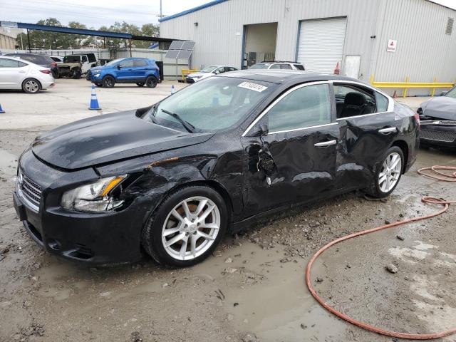 NISSAN MAXIMA 2011 1n4aa5ap4bc849369