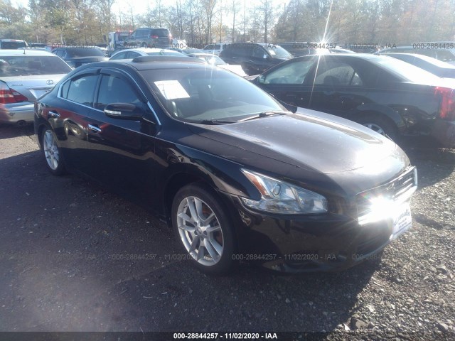 NISSAN MAXIMA 2011 1n4aa5ap4bc850344