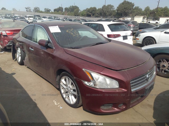 NISSAN MAXIMA 2011 1n4aa5ap4bc855544