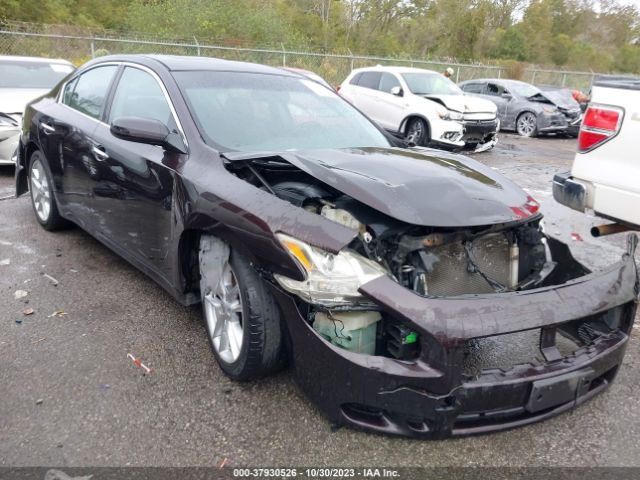 NISSAN MAXIMA 2013 1n4aa5ap4dc801860