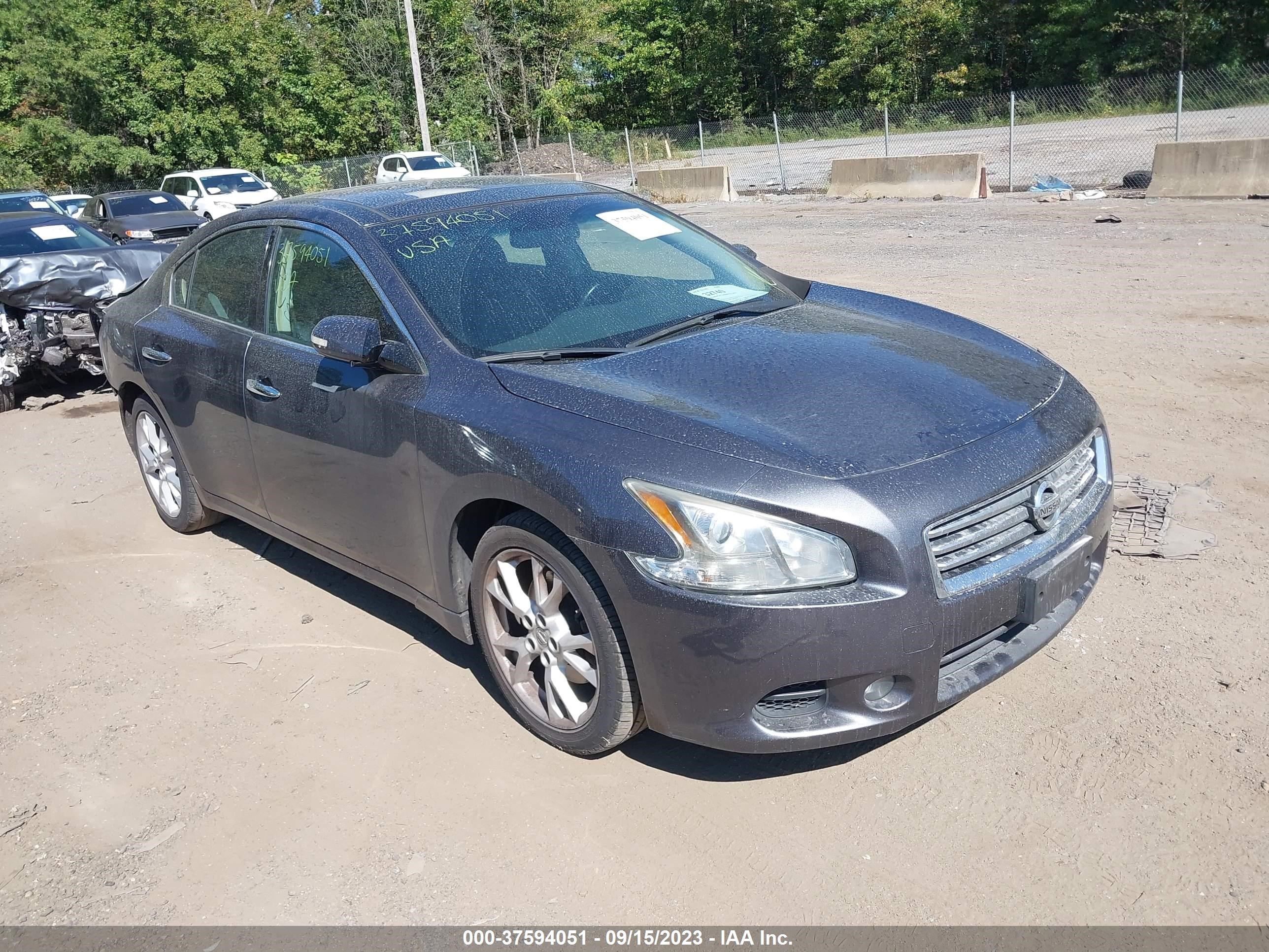 NISSAN MAXIMA 2013 1n4aa5ap4dc811966