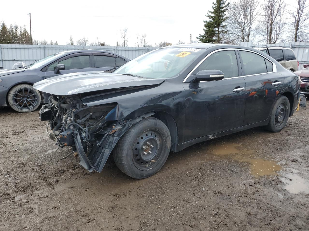 NISSAN MAXIMA 2014 1n4aa5ap4ec498130