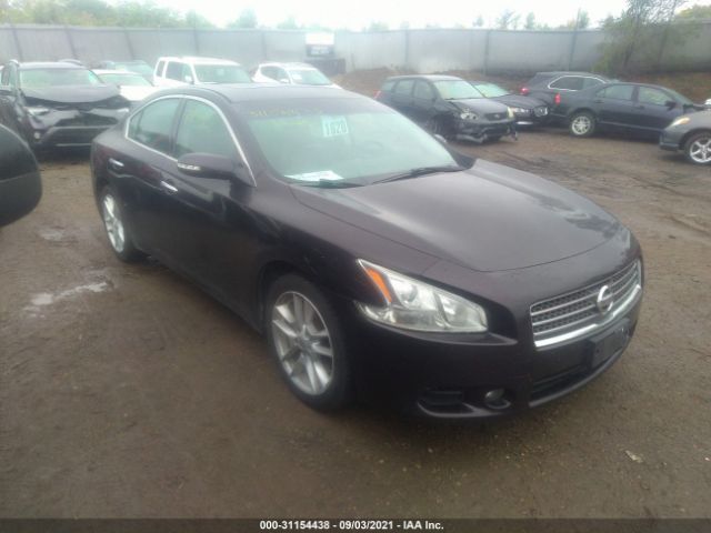 NISSAN MAXIMA 2010 1n4aa5ap5ac805783