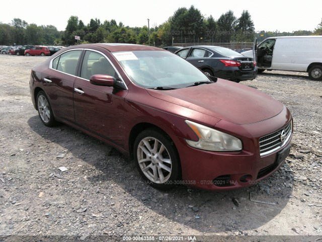 NISSAN MAXIMA 2010 1n4aa5ap5ac811440