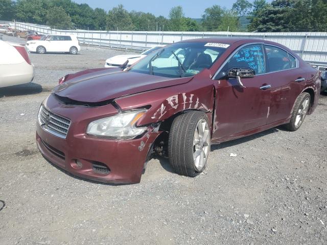 NISSAN MAXIMA S 2010 1n4aa5ap5ac813902