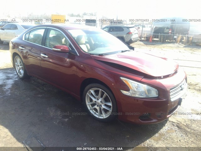 NISSAN MAXIMA 2010 1n4aa5ap5ac814550