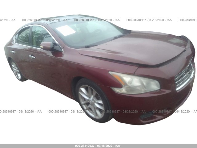 NISSAN MAXIMA 2010 1n4aa5ap5ac821434