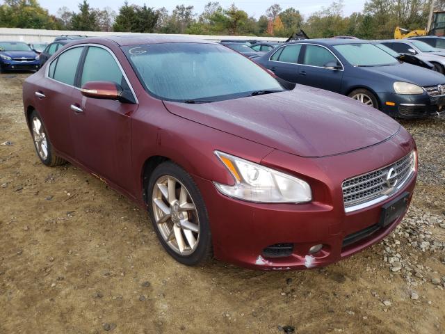 NISSAN MAXIMA S 2010 1n4aa5ap5ac832417