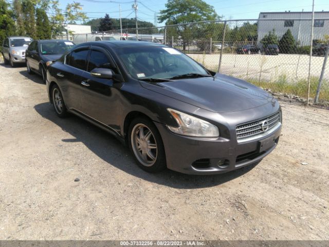 NISSAN MAXIMA 2010 1n4aa5ap5ac833325