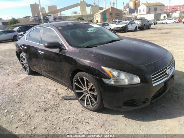 NISSAN MAXIMA 2010 1n4aa5ap5ac839383