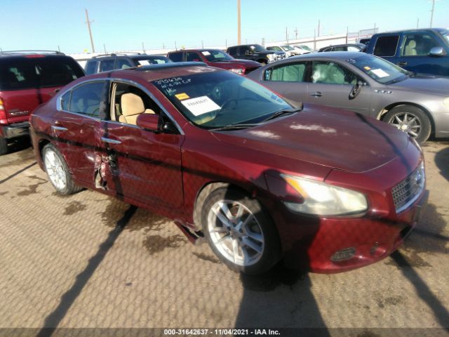 NISSAN MAXIMA 2010 1n4aa5ap5ac839724