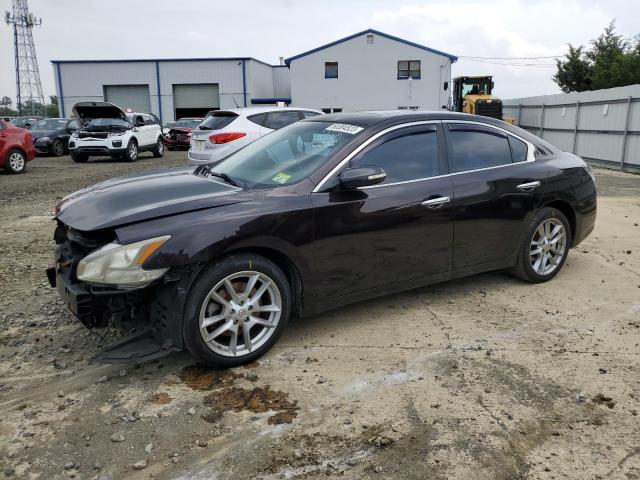 NISSAN MAXIMA S 2010 1n4aa5ap5ac841652