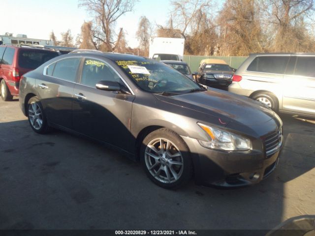 NISSAN MAXIMA 2010 1n4aa5ap5ac842347