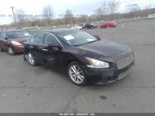 NISSAN MAXIMA 2010 1n4aa5ap5ac843756