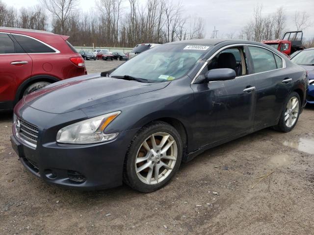 NISSAN MAXIMA S 2010 1n4aa5ap5ac844681