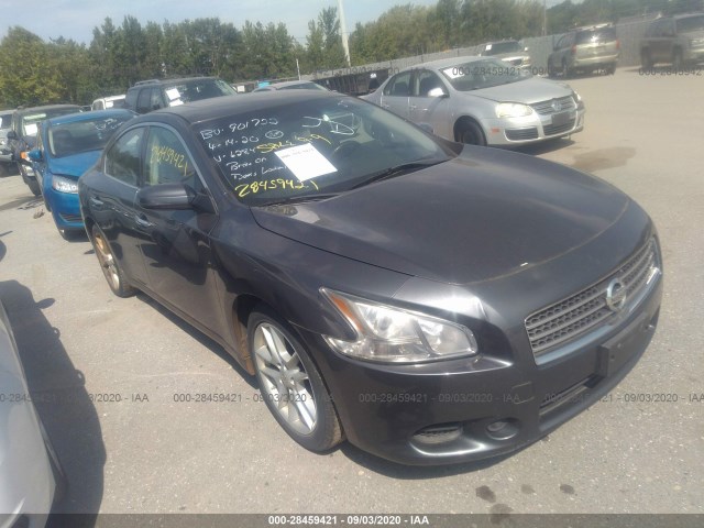 NISSAN MAXIMA 2010 1n4aa5ap5ac846284