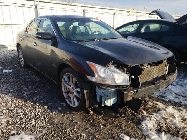 NISSAN MAXIMA S 2010 1n4aa5ap5ac846561