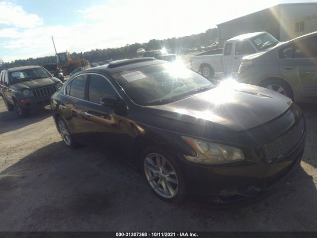 NISSAN MAXIMA 2010 1n4aa5ap5ac846933