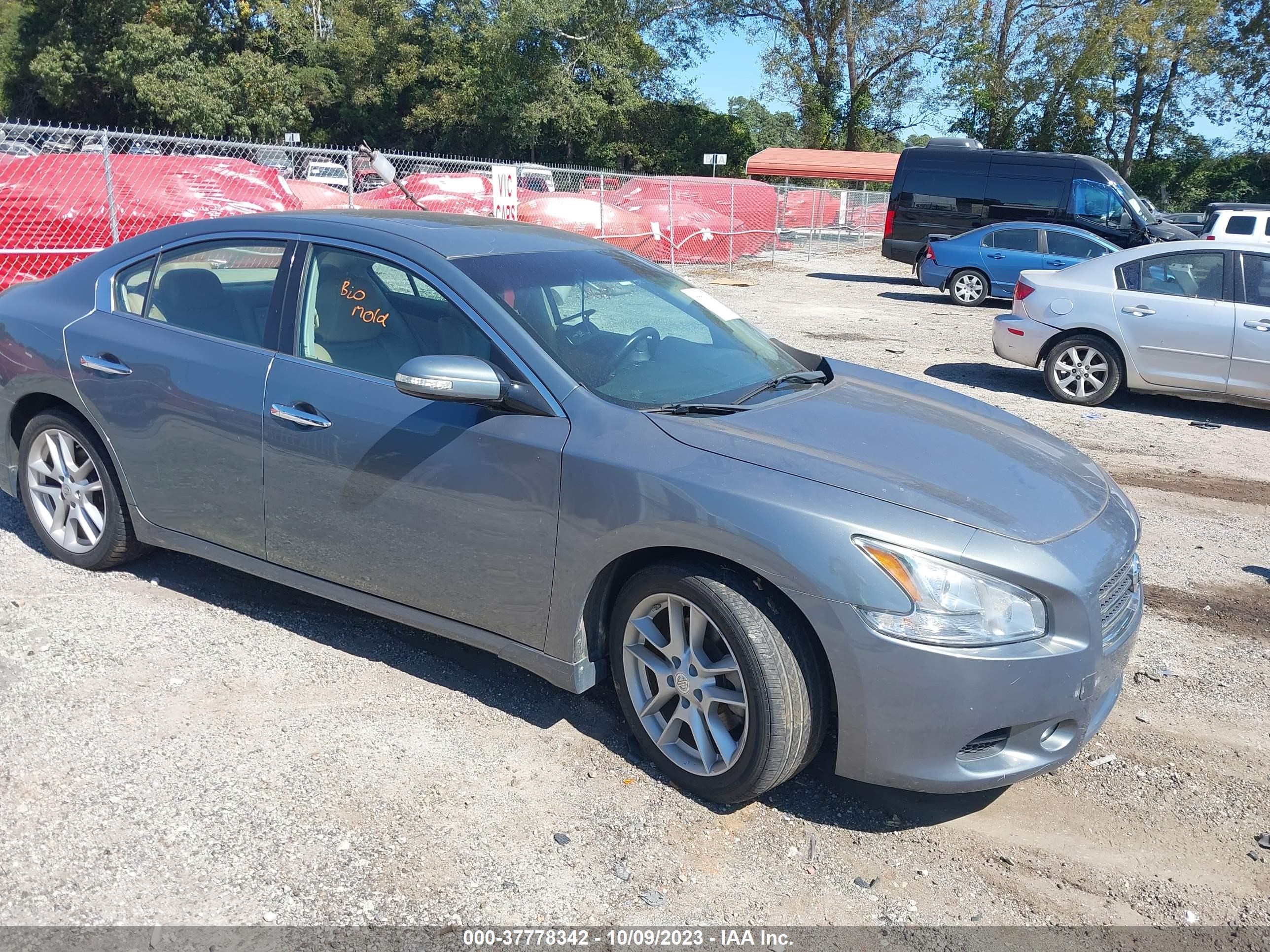 NISSAN MAXIMA 2010 1n4aa5ap5ac848696