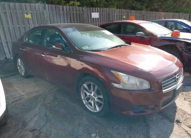 NISSAN MAXIMA 2010 1n4aa5ap5ac849282