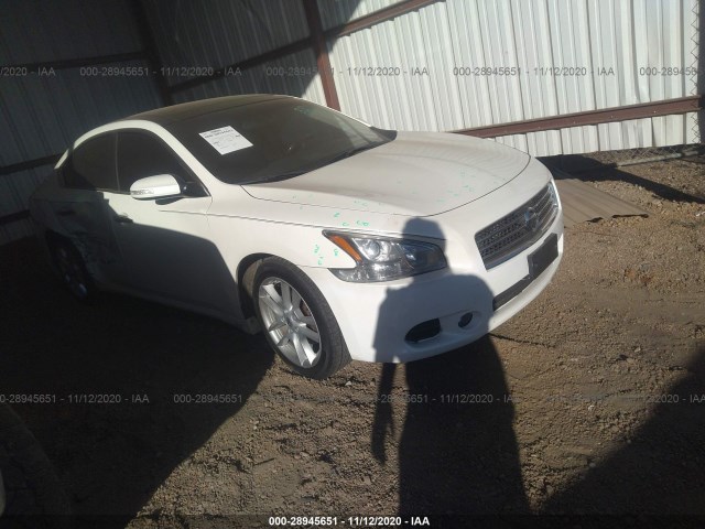 NISSAN MAXIMA 2010 1n4aa5ap5ac851842