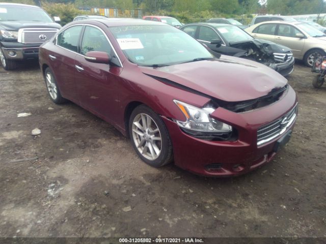 NISSAN MAXIMA 2010 1n4aa5ap5ac857981