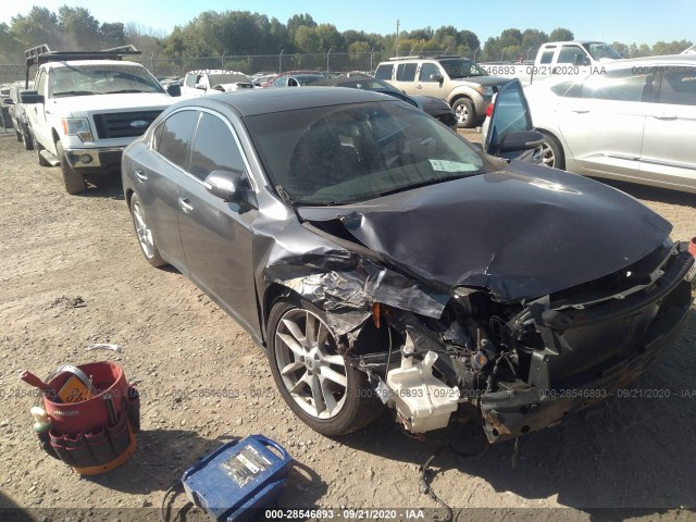 NISSAN MAXIMA 2010 1n4aa5ap5ac860024