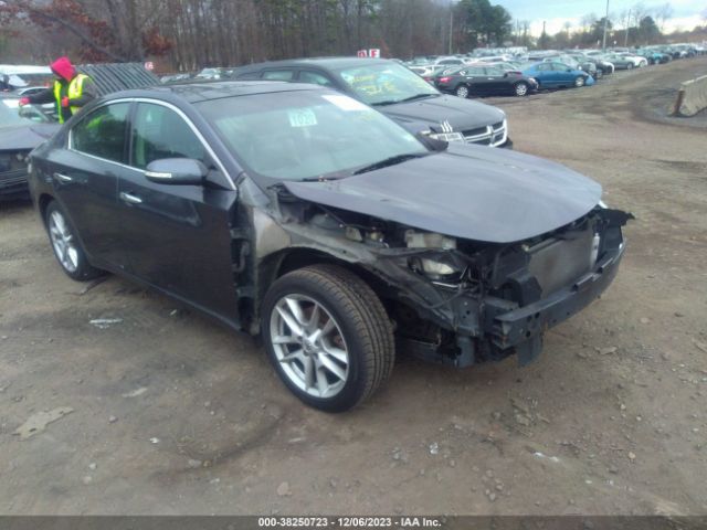 NISSAN MAXIMA 2010 1n4aa5ap5ac863022