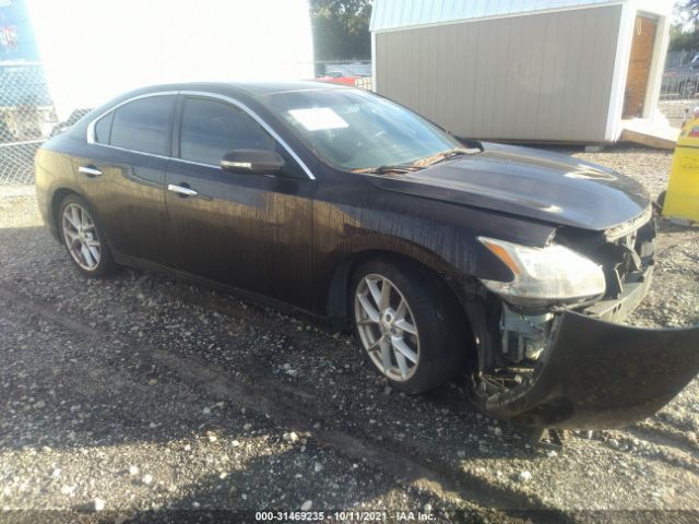 NISSAN MAXIMA 2010 1n4aa5ap5ac863571