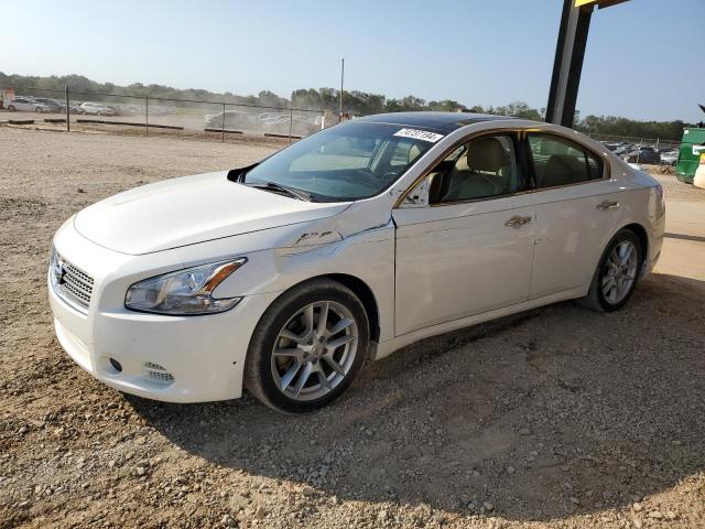 NISSAN MAXIMA S 2010 1n4aa5ap5ac869029