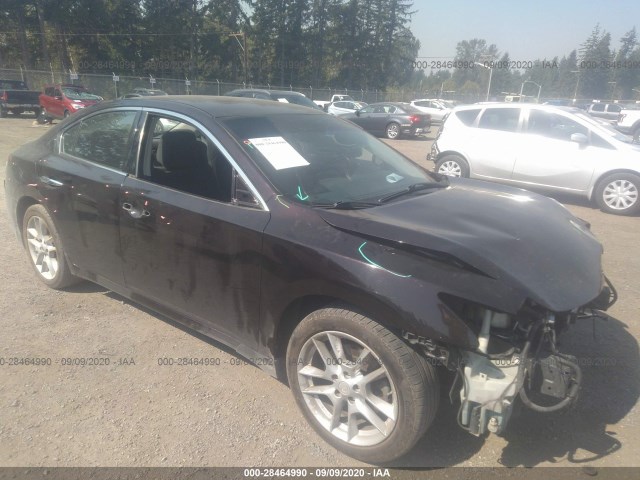 NISSAN MAXIMA 2010 1n4aa5ap5ac872500